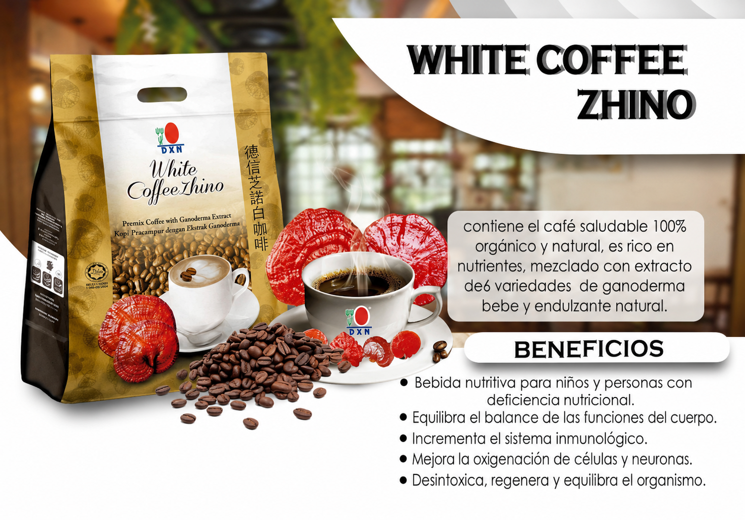 WHITE COFFEE ZHINO